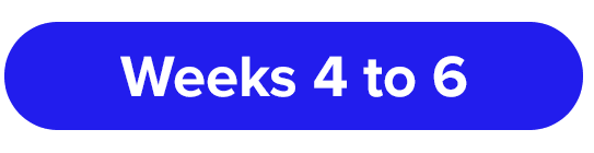 Week4-6