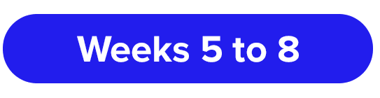 Week5-8
