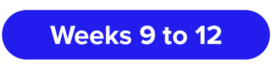 Week9-12
